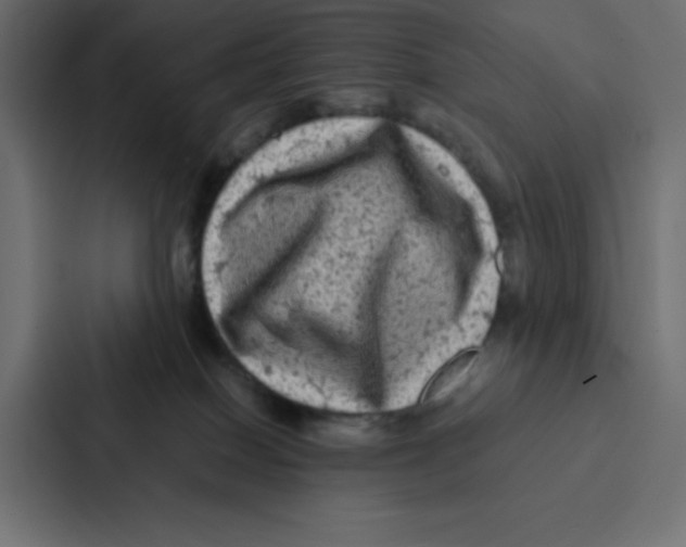 X0000087060086200705161021