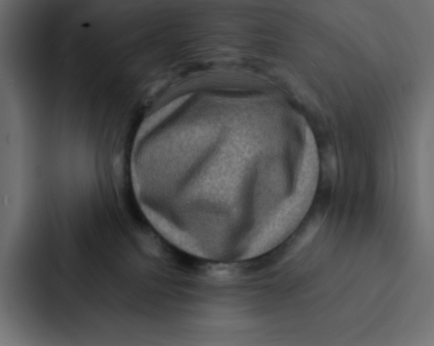 X0000087060088200705161021