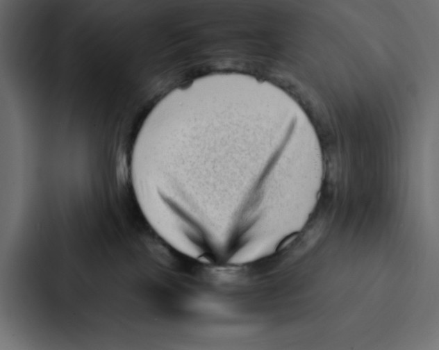 X0000087060089200705161021