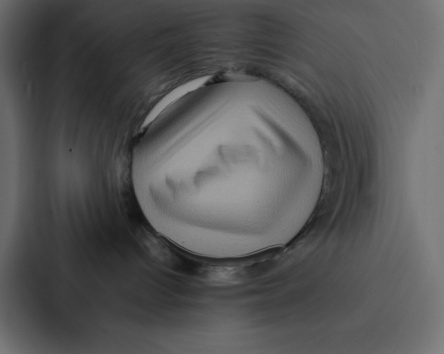 X0000087060096200705161021