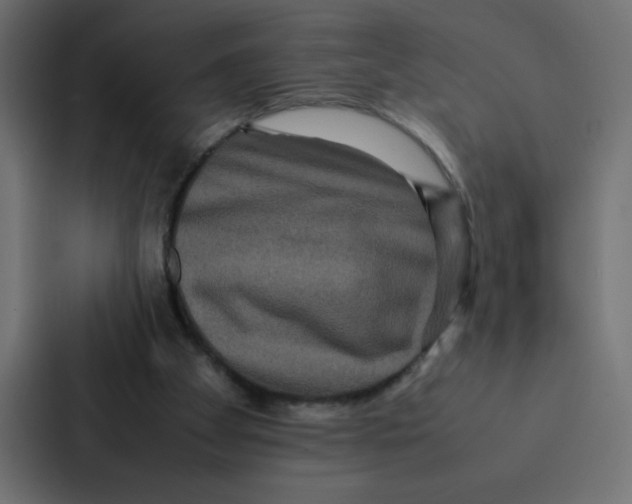 X0000087060105200705161020