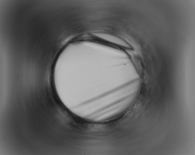 X0000087060107200705161020