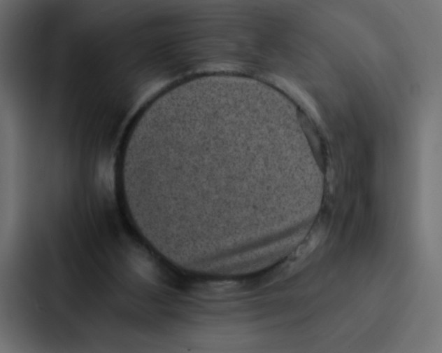 X0000087060108200705161020