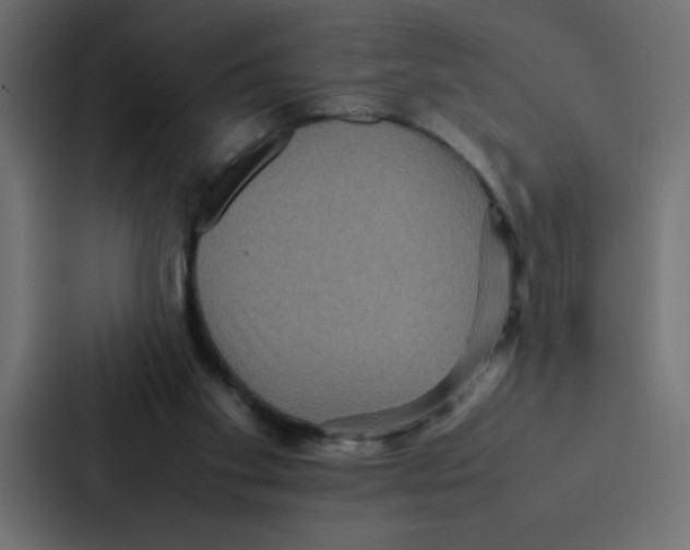 X0000087060109200705161020