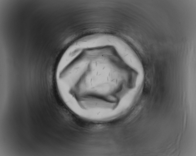 X0000087060111200705161020