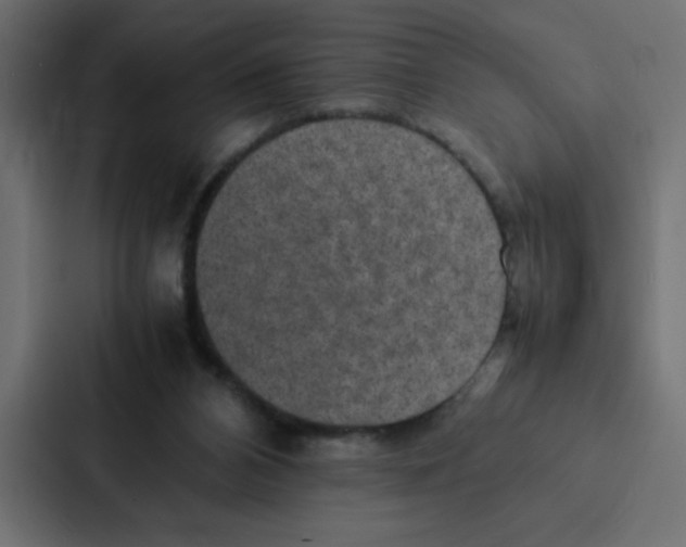 X0000087060112200705161020