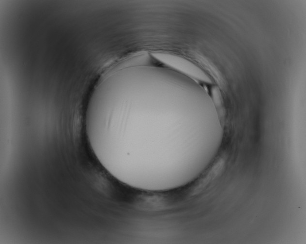 X0000087060113200705161020