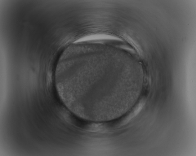 X0000087060117200705161020