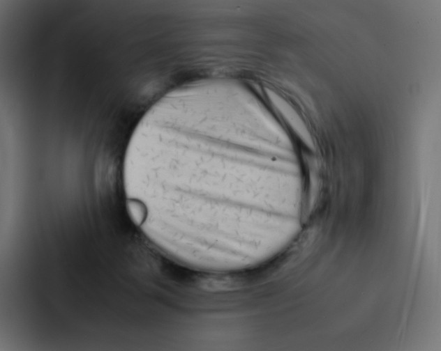 X0000087060123200705161020