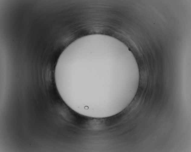 X0000087060126200705161020