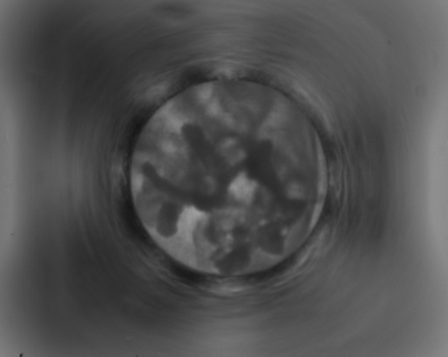 X0000087060127200705161020