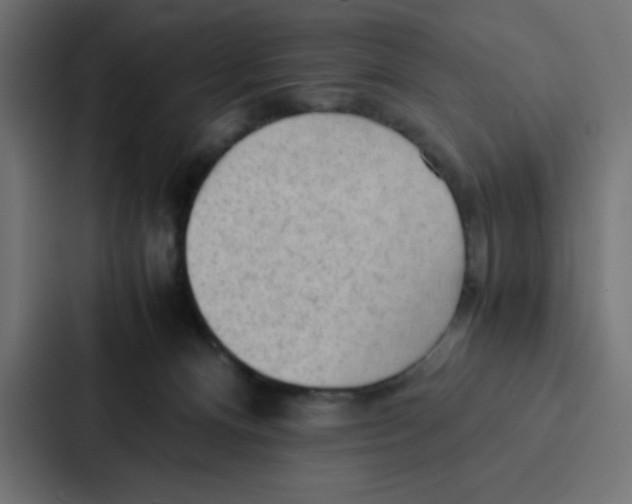 X0000087060128200705161020