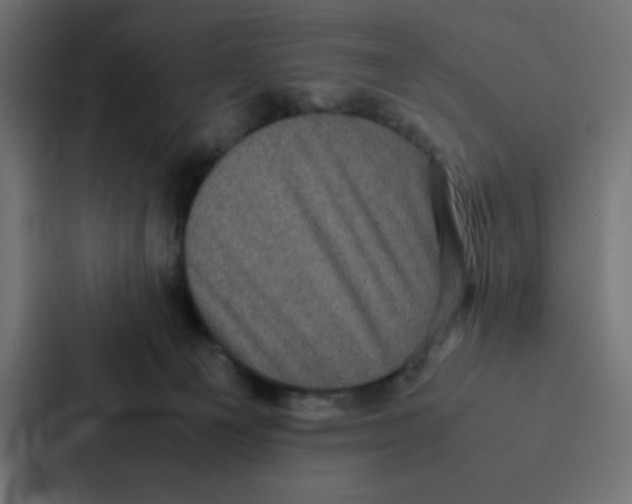 X0000087060129200705161020