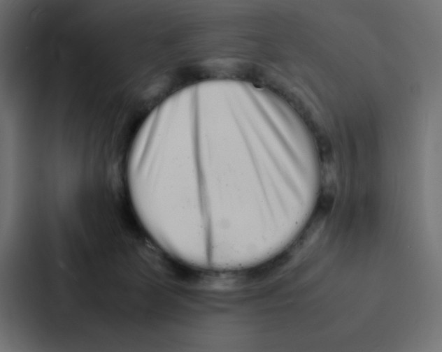 X0000087060131200705161020