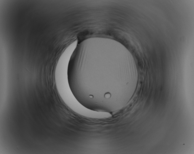 X0000087060133200705161020