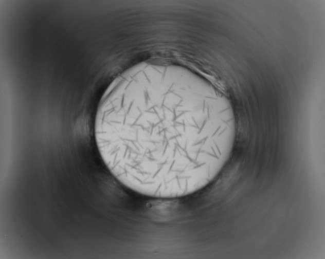X0000087060135200705161020
