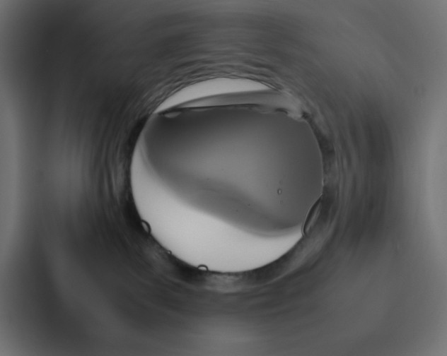 X0000087060139200705161020