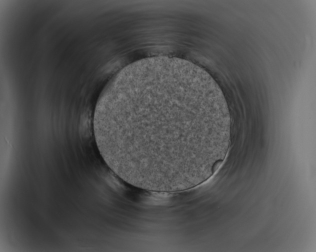 X0000087060144200705161019