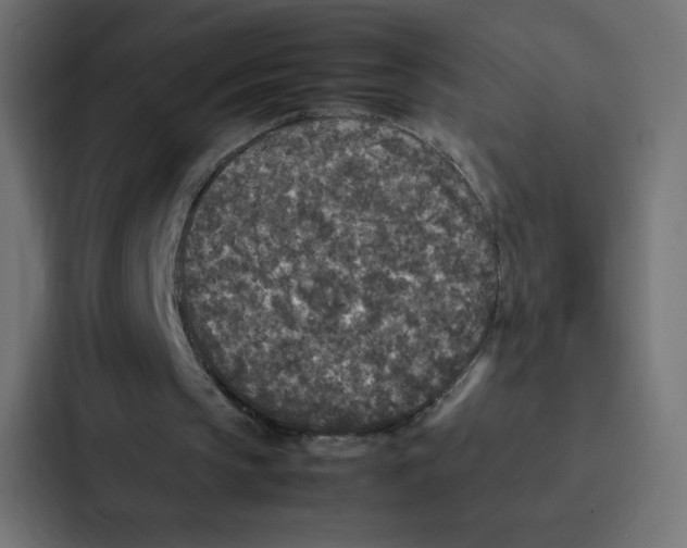 X0000087060145200705161019