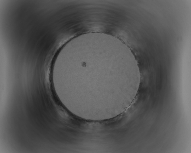 X0000087060146200705161019