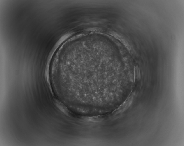 X0000087060147200705161019