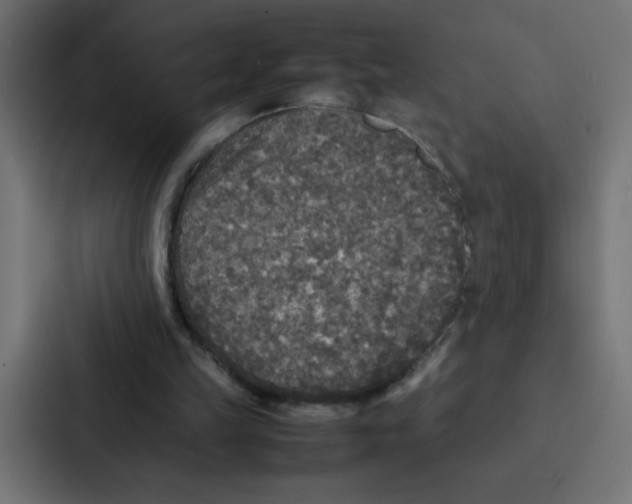 X0000087060149200705161019