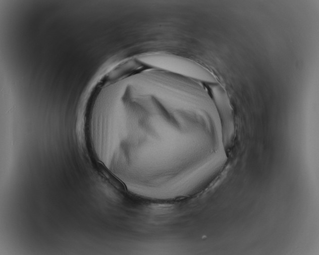 X0000087060150200705161019