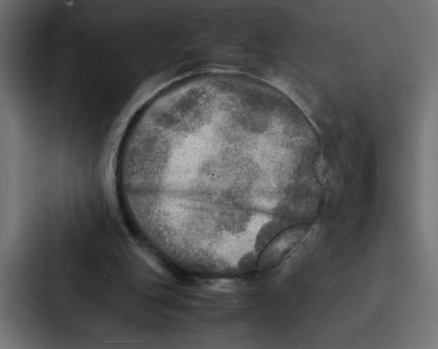 X0000087060151200705161019