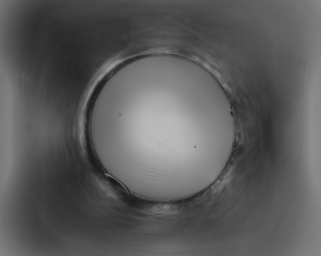 X0000087060152200705161019