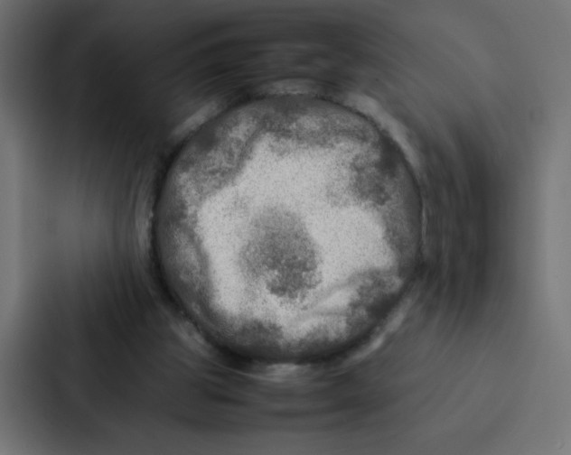 X0000087060153200705161019