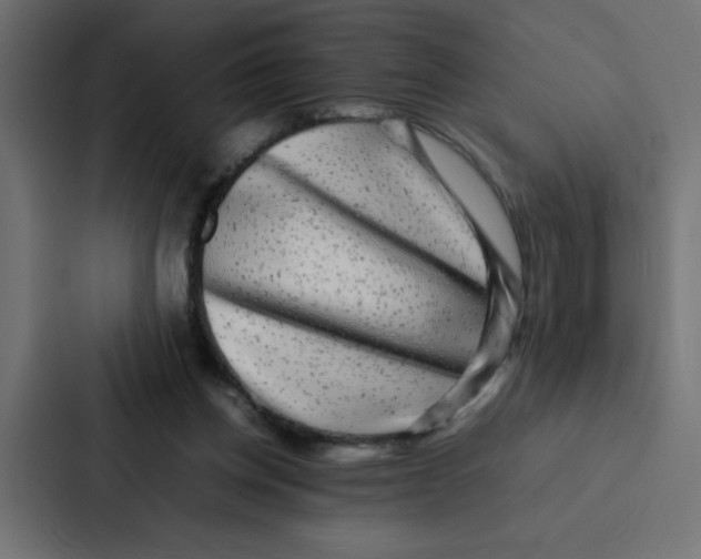 X0000087060158200705161019