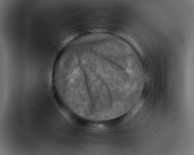 X0000087060159200705161019