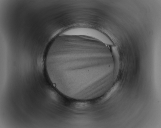 X0000087060160200705161019