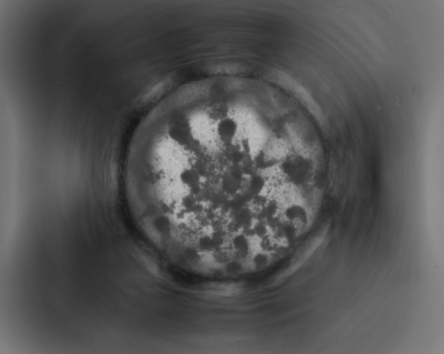 X0000087060161200705161019