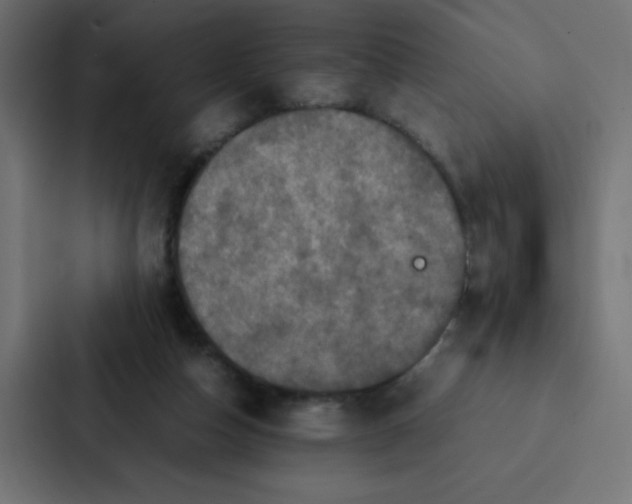 X0000087060162200705161019