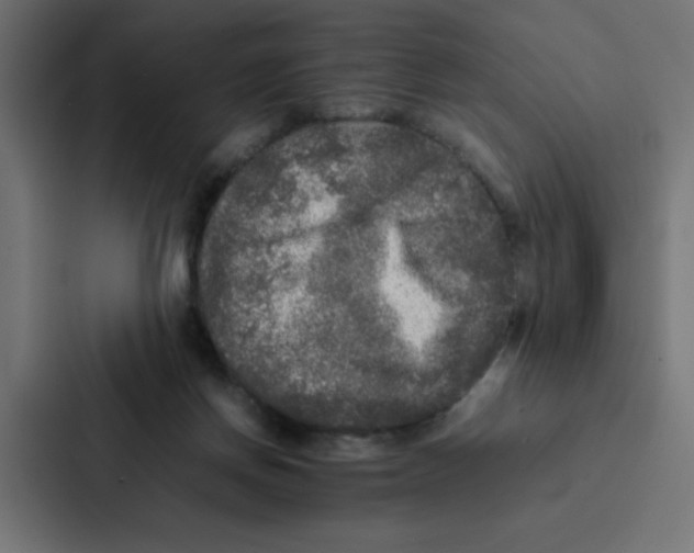 X0000087060166200705161019