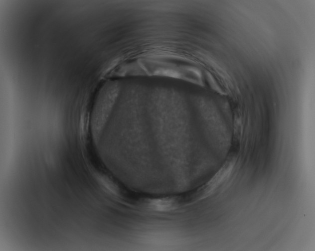 X0000087060168200705161019