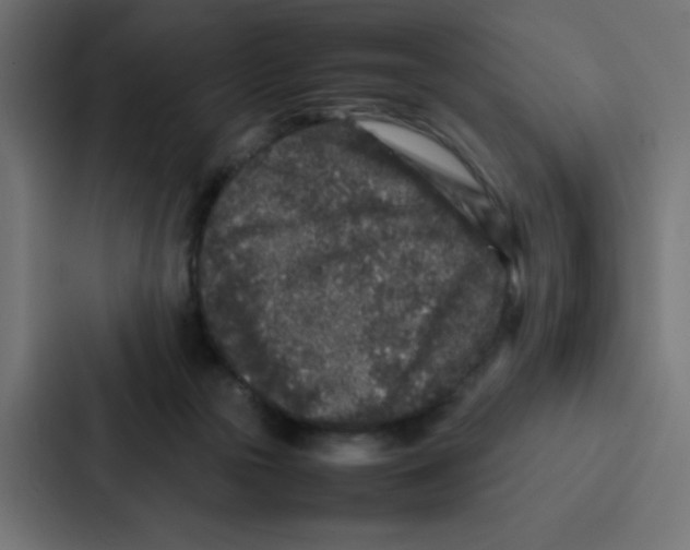 X0000087060169200705161019