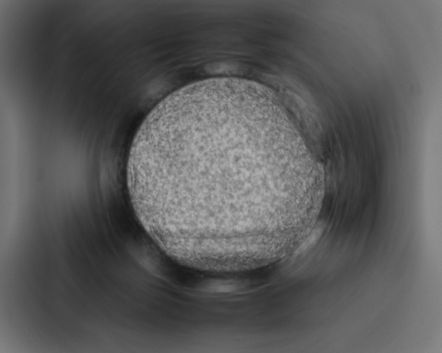 X0000087060171200705161019