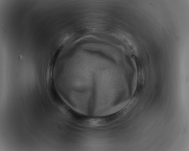 X0000087060172200705161019