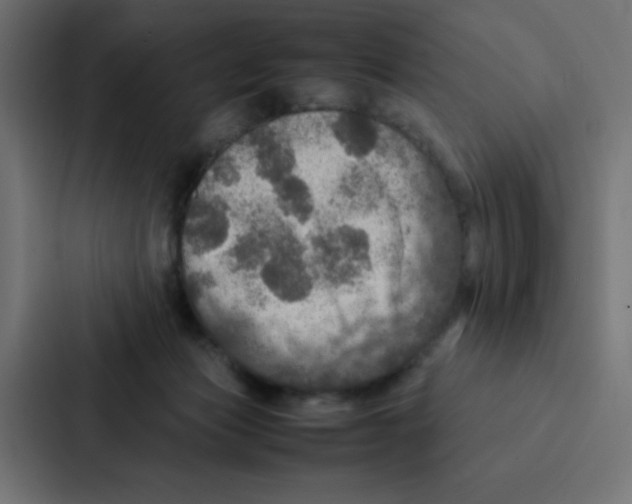 X0000087060173200705161019