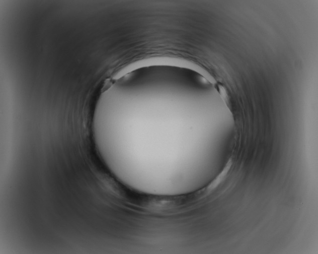 X0000087060174200705161019