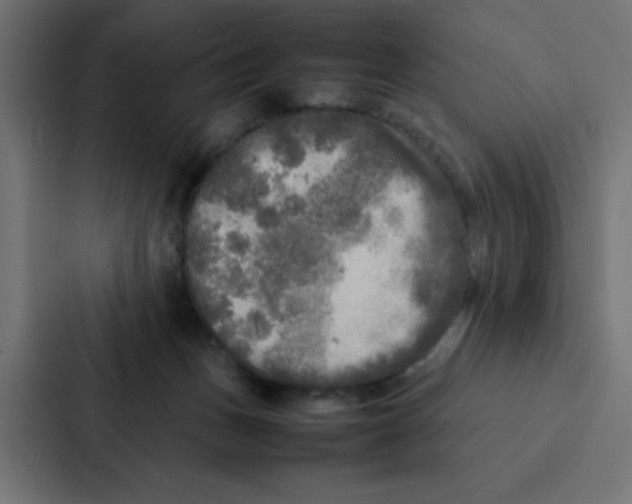 X0000087060175200705161019