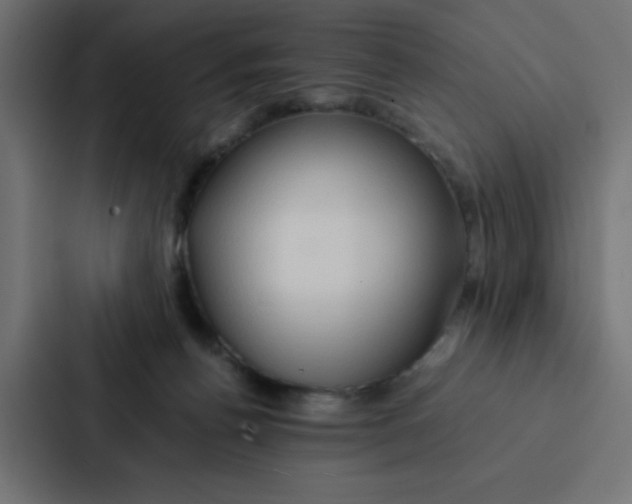 X0000087060176200705161019