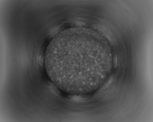 X0000087060177200705161019