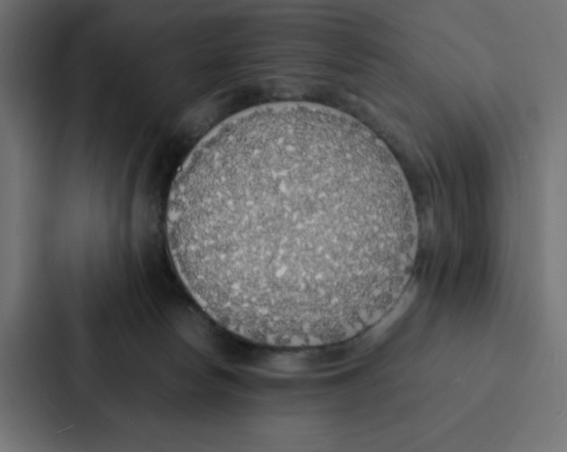 X0000087060178200705161019