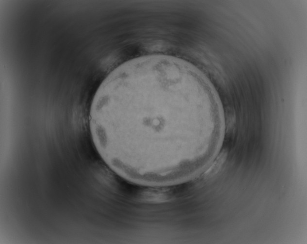 X0000087060179200705161019