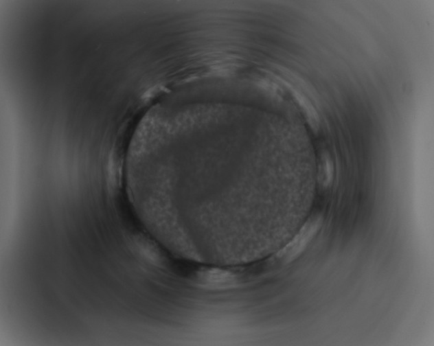 X0000087060180200705161019