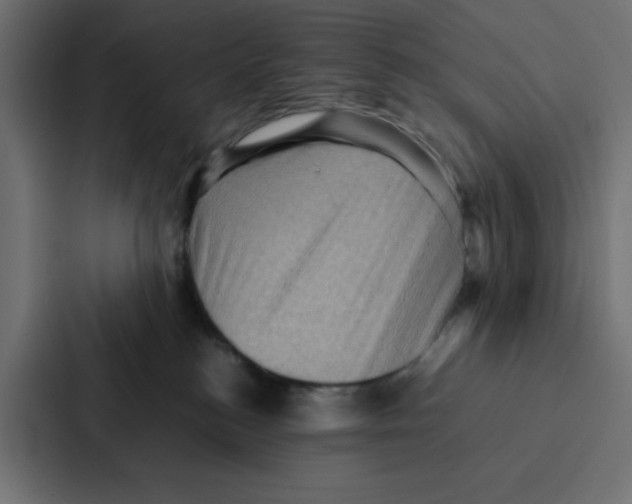 X0000087060184200705161019