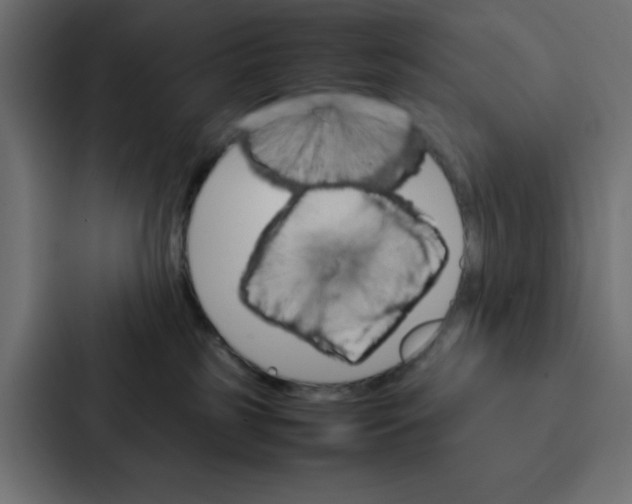 X0000087060185200705161019